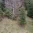  Land for sale in Araucania, Pucon, Cautin, Araucania