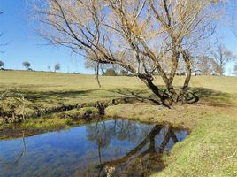  Terreno (Parcela) en venta en Loncoche, Cautín, Loncoche