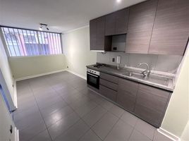1 Bedroom Apartment for rent in Chile, Santiago, Santiago, Santiago, Chile