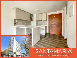바이오비오PropertyTypeNameBedroom, Concepcion, Concepci��n, 바이오비오