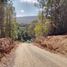  Land for sale in Araucania, Villarrica, Cautin, Araucania