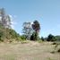  Land for sale in Araucania, Villarrica, Cautin, Araucania
