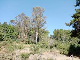  Land for sale in Araucania, Villarrica, Cautin, Araucania