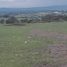  Land for sale in Chapa De Mota, Mexico, Chapa De Mota