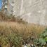  Land for rent in San Andres Cholula, Puebla, San Andres Cholula, Puebla