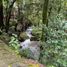 4 Schlafzimmer Villa zu verkaufen in Valle De Bravo, Mexico, Valle De Bravo