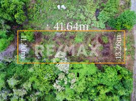  Land for sale in Manzanillo, Colima, Manzanillo