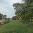  Land for sale in Coquimatlan, Colima, Coquimatlan