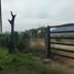  Land for sale in Coquimatlan, Colima, Coquimatlan