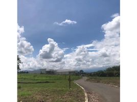  Land for sale in Pereira, Risaralda, Pereira