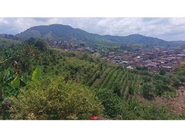  Terreno (Parcela) en venta en Dosquebradas, Risaralda, Dosquebradas