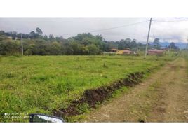  Land for sale in Turbo, Antioquia, Turbo