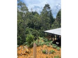  Land for sale in Guarne, Antioquia, Guarne