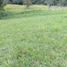  Land for sale in Cauca, Popayan, Cauca