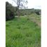  Land for sale in Cauca, Popayan, Cauca