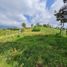  Land for sale in Manizales, Caldas, Manizales