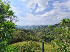  Land for sale in Manizales, Caldas, Manizales