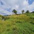  Land for sale in Manizales, Caldas, Manizales