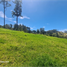 Terrain à vendre à Rionegro, Antioquia, Rionegro, Antioquia