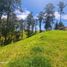 Terrain à vendre à Rionegro, Antioquia, Rionegro, Antioquia