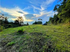  Land for sale in Envigado, Antioquia, Envigado