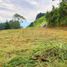  Land for sale in Envigado, Antioquia, Envigado