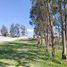  Land for sale in Llano Chico, Pichincha, Llano Chico