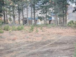  Land for sale in Lacar, Neuquen, Lacar