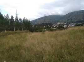  Land for sale in Ruminahui, Pichincha, Sangolqui, Ruminahui