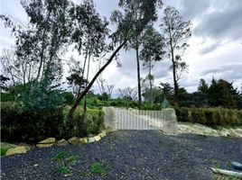  Terreno (Parcela) en venta en Villa De Leyva, Boyaca, Villa De Leyva