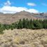  Land for sale in Neuquen, Lacar, Neuquen