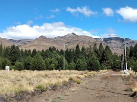  Land for sale in Neuquen, Lacar, Neuquen