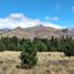  Land for sale in Lacar, Neuquen, Lacar