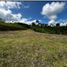  Land for sale in Pereira, Risaralda, Pereira