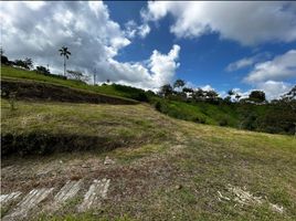  Land for sale in Pereira, Risaralda, Pereira