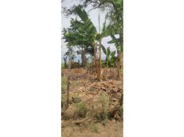  Land for sale in Palmira, Valle Del Cauca, Palmira