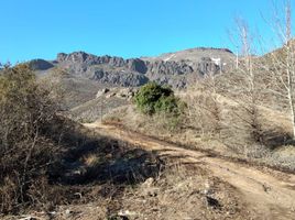  Land for sale in Neuquen, Lacar, Neuquen