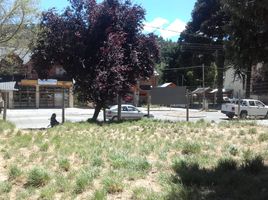  Terreno (Parcela) en venta en Neuquen, Lacar, Neuquen