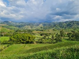  Terreno (Parcela) en venta en Manizales, Caldas, Manizales