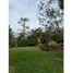 Land for sale in Venecia, Antioquia, Venecia