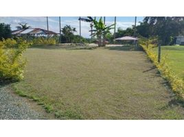  Terreno (Parcela) en venta en Dosquebradas, Risaralda, Dosquebradas