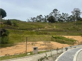  Terreno (Parcela) en venta en Rionegro, Antioquia, Rionegro, Antioquia, Colombia