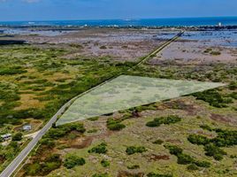  Grundstück zu verkaufen in Chicxulub Pueblo, Yucatan, Chicxulub Pueblo