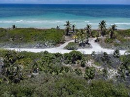  Grundstück zu verkaufen in Othon P Blanco, Quintana Roo, Othon P Blanco