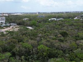 Terrain à vendre à Cozumel, Quintana Roo, Cozumel