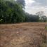  Land for sale in Valle Del Cauca, Palmira, Valle Del Cauca