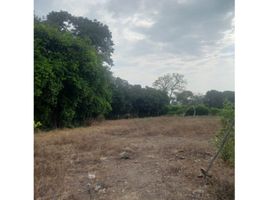  Land for sale in Valle Del Cauca, Palmira, Valle Del Cauca