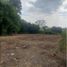  Land for sale in Palmira, Valle Del Cauca, Palmira