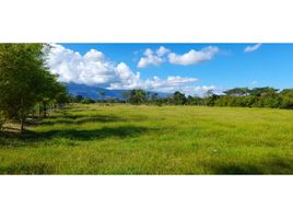  Land for sale in Restrepo, Meta, Restrepo