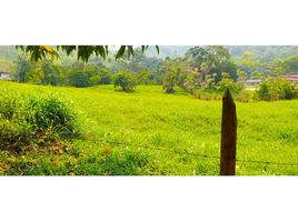  Land for sale in San Rafael, Antioquia, San Rafael